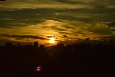 DSC_3808 (Large).JPG